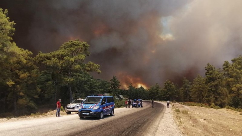 Kebakaran hutan masif terjadi wilayah selatan Turki. AP/