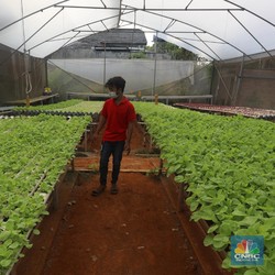 Tanda Kiamat Makin Banyak, Manusia Bisa Selamat Berkat Sayur