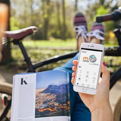Sengit! Ini Klaster-klaster Baru 'Raksasa' Digital RI