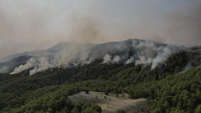 An aerial photo shows destroyed houses in a village as wildfires continue to rage the forests near the Mediterranean coastal town of Manavgat, Antalya, Turkey, Thursday, July 29, 2021. Authorities evacuated homes in southern Turkey as a wildfire fanned by strong winds raged through a forest area near the Mediterranean coastal town of Manavgat. District governor Mustafa Yigit said residents of four neighborhoods were moved out of the fire's path as firefighters worked to control the blaze that broke out Wednesday. It was not immediately clear what caused the fire but authorities said nearby tourist resorts were not affected. (Suat Metin/IHA via AP)