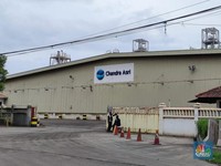 Emiten Prajogo TPIA Rugi Tapi Harga Saham Melesat 365%, Kok Bisa?