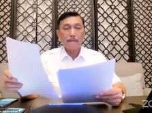 Kantor Pak Luhut Umumkan Hasil Seleksi CPNS, Cek di Sini!