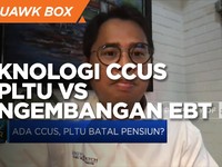 Uji Keekonomian Teknologi CCUS di PLTU Vs Pengembangan EBT