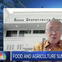 RI Terancam Krisis Pangan, Begini Strategi Jitu Pemerintah!