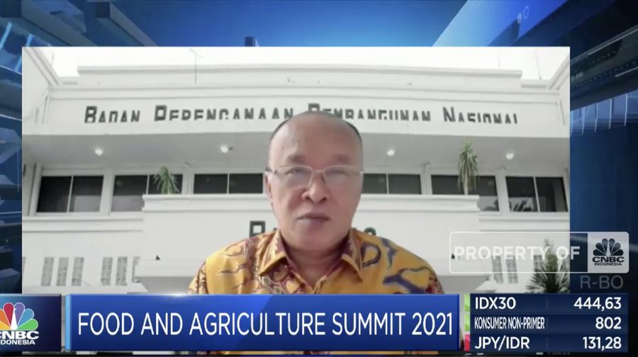 Deputi Bidang Kemaritiman & SDA Bappenas Arifin Rudiyanto di acara Food and Agriculture Summit 2021