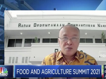RI Terancam Krisis Pangan, Begini Strategi Jitu Pemerintah!