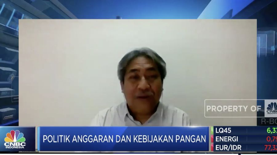 Dewan Pakar Himpunan Alumni IPB, Bustanul Arifin di acara food and Agriculture Summit 2021