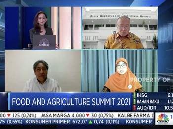 Begini Saran Pakar & DPR Terkait Subsidi Pupuk Rp 30 T