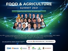 Live Now! Dibuka Airlangga, Yuk Kupas Tuntas Ketahanan Pangan