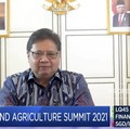Airlangga Bicara Ketangguhan Pertanian RI Saat Pandemi