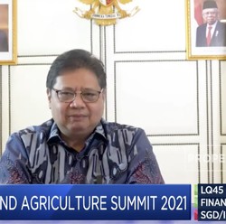 Airlangga Bicara Ketangguhan Pertanian RI Saat Pandemi