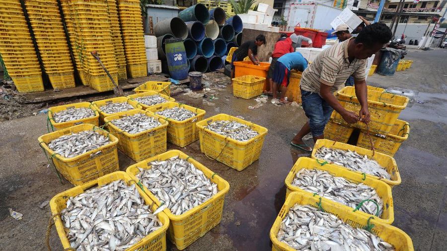 Pekerja mengangkat ikan hasil tangkapan nelayan di Dermaga Muara Angke, Jakarta Utara, Selasa (3/8/2021). Usai tiba di Dermaga Muara Angke, ikan-ikan hasil tangkapan nelayan tersebut lalu ditimbang dan dijual kepada perusahaan pengolahan ikan. (CNBC Indonesia/Andrean Kristianto)
