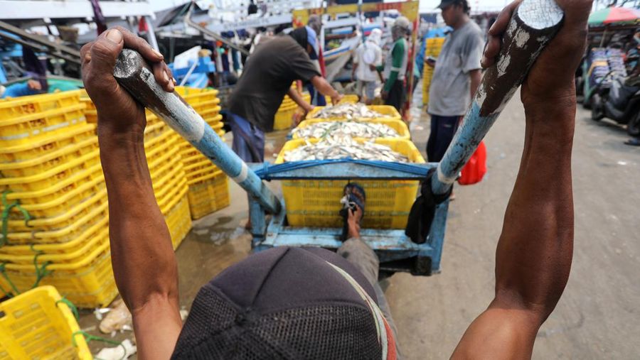Pekerja mengangkat ikan hasil tangkapan nelayan di Dermaga Muara Angke, Jakarta Utara, Selasa (3/8/2021). Usai tiba di Dermaga Muara Angke, ikan-ikan hasil tangkapan nelayan tersebut lalu ditimbang dan dijual kepada perusahaan pengolahan ikan.  (CNBC Indonesia/Andrean Kristianto)
