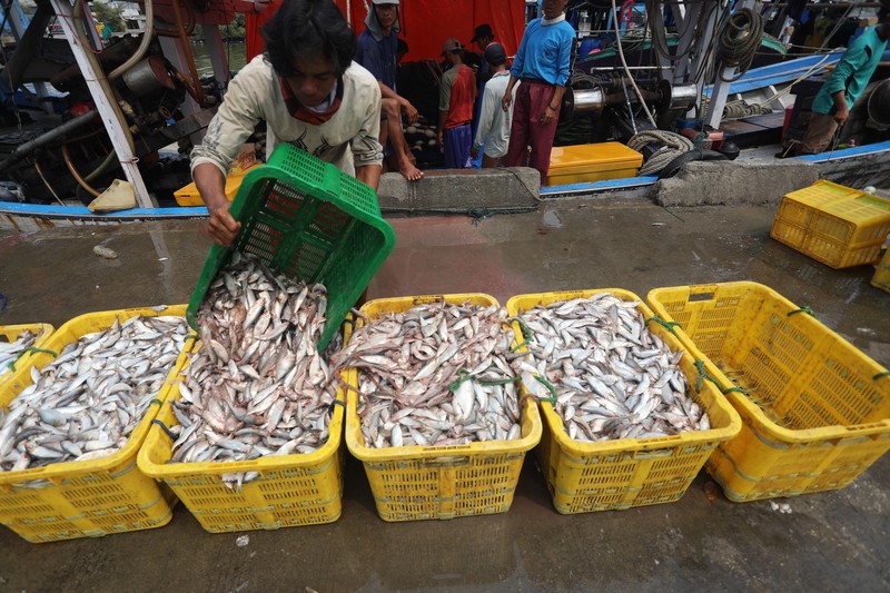 Pekerja mengangkat ikan hasil tangkapan nelayan di Dermaga Muara Angke, Jakarta Utara, Selasa (3/8/2021). Usai tiba di Dermaga Muara Angke, ikan-ikan hasil tangkapan nelayan tersebut lalu ditimbang dan dijual kepada perusahaan pengolahan ikan.  (CNBC Indonesia/Andrean Kristianto)