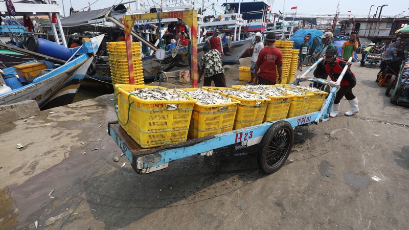 Pekerja mengangkat ikan hasil tangkapan nelayan di Dermaga Muara Angke, Jakarta Utara, Selasa (3/8/2021). Usai tiba di Dermaga Muara Angke, ikan-ikan hasil tangkapan nelayan tersebut lalu ditimbang dan dijual kepada perusahaan pengolahan ikan. (CNBC Indonesia/Andrean Kristianto) Pekerja mengangkat ikan hasil tangkapan nelayan di Dermaga Muara Angke, Jakarta Utara, Selasa (3/8/2021). Usai tiba di Dermaga Muara Angke, ikan-ikan hasil tangkapan nelayan tersebut lalu ditimbang dan dijual kepada perusahaan pengolahan ikan. (CNBC Indonesia/Andrean Kristianto)