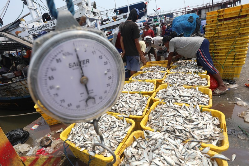 Pekerja mengangkat ikan hasil tangkapan nelayan di Dermaga Muara Angke, Jakarta Utara, Selasa (3/8/2021). Usai tiba di Dermaga Muara Angke, ikan-ikan hasil tangkapan nelayan tersebut lalu ditimbang dan dijual kepada perusahaan pengolahan ikan. (CNBC Indonesia/Andrean Kristianto) Pekerja mengangkat ikan hasil tangkapan nelayan di Dermaga Muara Angke, Jakarta Utara, Selasa (3/8/2021). Usai tiba di Dermaga Muara Angke, ikan-ikan hasil tangkapan nelayan tersebut lalu ditimbang dan dijual kepada perusahaan pengolahan ikan. (CNBC Indonesia/Andrean Kristianto)