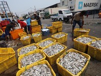 Bukan China! Produk Ikan RI Jajah Negara Super Power Amerika
