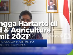Strategi Pemerintah Mendorong Ketahanan Pangan Nasional