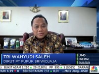 Dirut Pusri Buka-bukaan Tanggapi Isu Kelangkaan Pupuk Subsidi