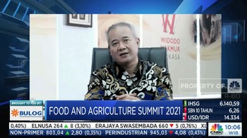 Seberapa Penting Sih Efisiensi Produksi Produk Unggas?