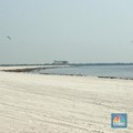 Jokowi Jual 'Tanah Air' Pasir Laut, Pulau RI Bisa Tenggelam!
