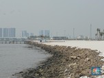 Dugaan Asal Muasal Teluk Jakarta Yang Tercemar Paracetamol