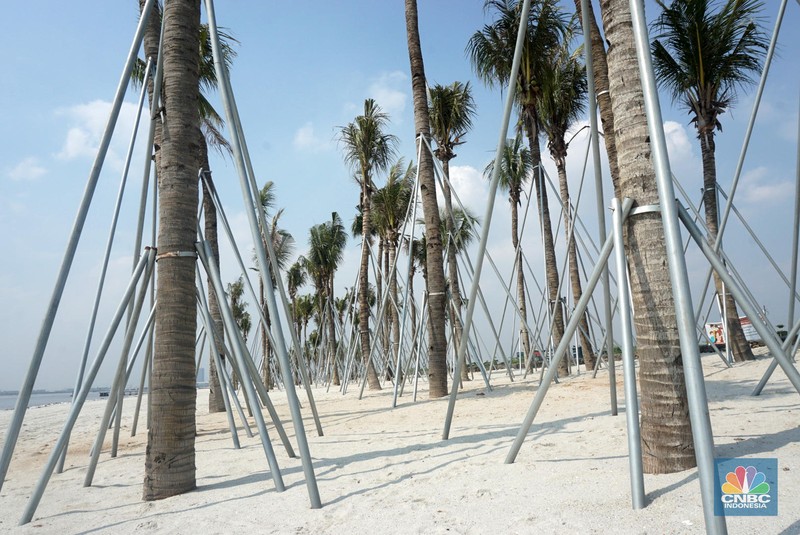 Suasana pantai pasir putih di Kawasan PIK 2, Dadap, Tangerang, Banten, Rabu (4/8/2021). Pantai Pasir Putih di kawasan Pantai Indah Kapuk tengah populer di kalangan traveler. Semenjak dibuka tahun 2020 lalu, tak sedikit traveler yang singgah ke Pantai Pasir Putih kala bertandang ke PIK. Di tengah kondisi pandemi, destinasi outdoor ini memang jadi primadona. Kini sejak diberlakukan PPKM darurat level 4 terlihat kawasan pasir putih sepi pengunjung. Hanya beberapa perahu nelayan yang sedang mencari  ikan di perairan laut pasir putih. Apabila PIK pertama berada di Provinsi DKI Jakarta, maka Pantai Pasir Putih di PIK2 masuk ke Provinsi Banten. (CNBC Indonesia/ Muhammad Sabki)