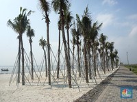Pasir Putih, Destinasi Inklusif Baru di Pinggir Jakarta