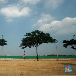 Negara Tawarkan Rp222 Juta buat yang Mau Pindah ke Pulau Ini