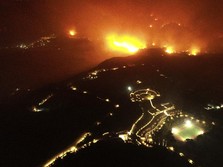 Mengerikan! Kebakaran Hutan Yunani, Ratusan Warga Diungsikan
