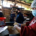 Menteri BUMN & Dirut BRI Komitmen Dukung UMKM Naik Kelas