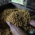 RI Terancam Krisis Kedelai, DPR Cecar Anak Buah Mentan!