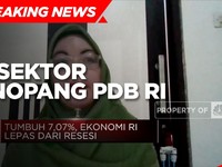 Q2-2021 Tumbuh 7,07%, Ini Sektor Penopang PDB RI