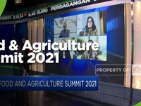 Strategi Membangun Ekosistem Sektor Pangan Yang Berdaya Saing