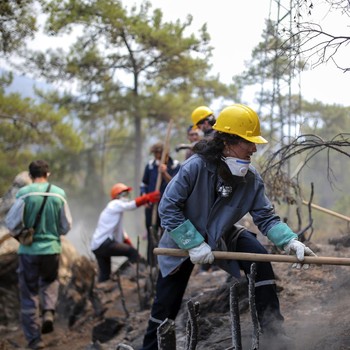 Potret Terbaru Evakuasi Kebakaran Hutan di Turki
