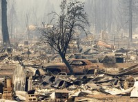 Potret Kebakaran Besar di Hutan AS, Rumah-Mobil Hangus