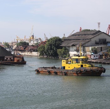 Naik Dua Hari, Harga Batu Bara Sekalinya Anjlok Nyaris 9%!