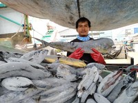 Trenggono Bawa Sektor Perikanan Tumbuh 9,69% di Q2-2021