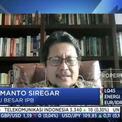 Guru Besar IPB: Yang Penting Pupuk Itu Tersedia buat Petani