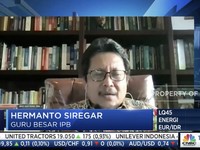 Badan Pangan Nasional Diusulkan Setingkat Dengan Menteri