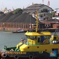 Akhirnya, Ada Kabar Gembira dari Batu bara
