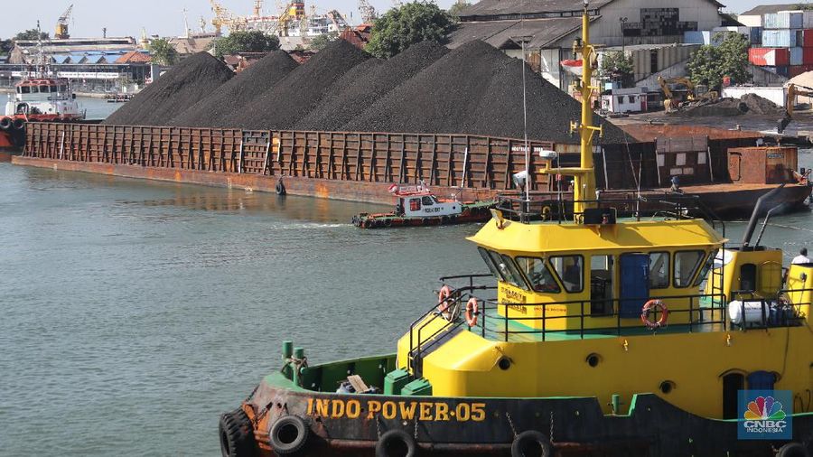 Kapal tongkang Batu Bara (CNBC Indonesia/Tri Susilo)