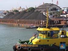 Dunia Masih Krisis Enegi, Saham Batu Bara Kok Loyo?