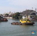 Batu Bara Reli 10 Hari, Saham Produsennya Naik Ramean