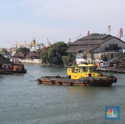 Xi Jinping Beraksi, Batu Bara RI Ketiban 'Durian Runtuh'