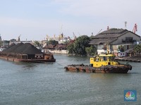 Xi Jinping Beraksi, Batu Bara RI Ketiban 'Durian Runtuh'