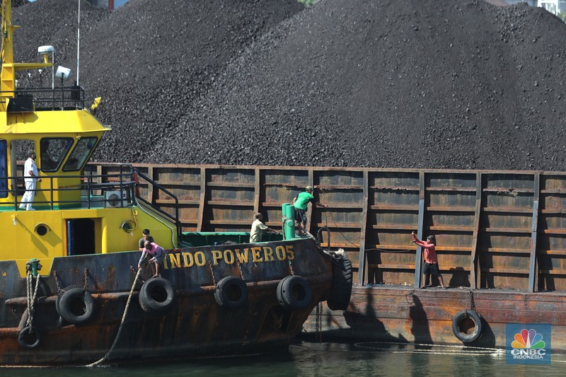 Kapal tongkang Batu Bara (CNBC Indonesia/Tri Susilo) Kapal tongkang Batu Bara (CNBC Indonesia/Tri Susilo)