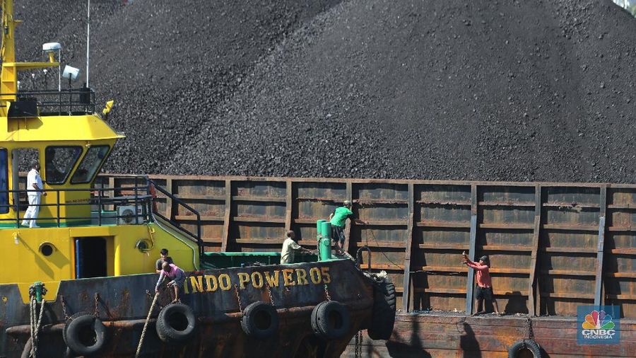 Kapal tongkang Batu Bara (CNBC Indonesia/Tri Susilo)