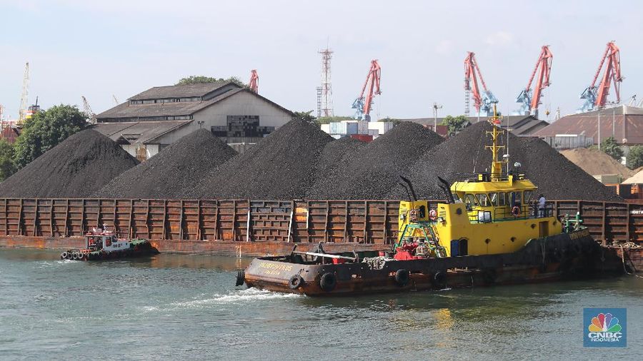Kapal tongkang Batu Bara (CNBC Indonesia/Tri Susilo)