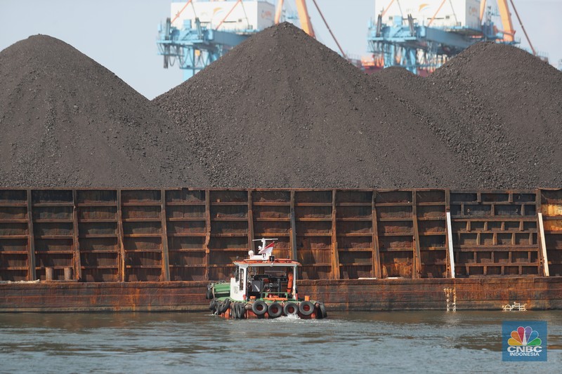 Kapal tongkang Batu Bara (CNBC Indonesia/Tri Susilo)